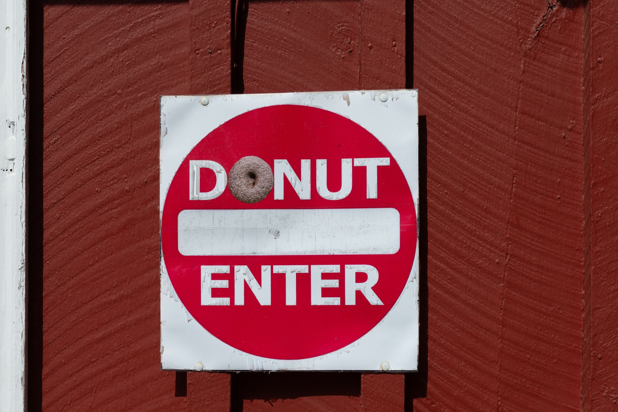 Kreuzfahrt USA 2025 312